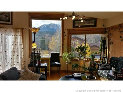 960 Mesa Dr, Silverthorne, CO 80498 photo 20
