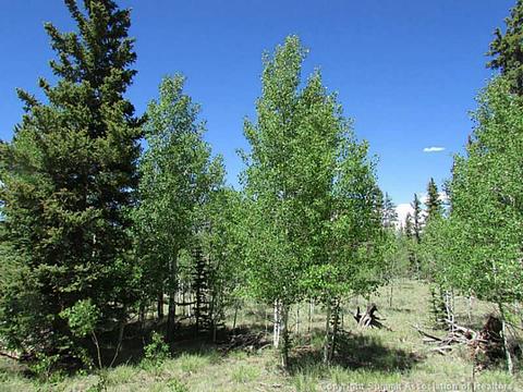 1067 Wampum Ln, Como, CO 80432 photo 11