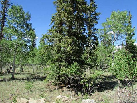 1067 Wampum Ln, Como, CO 80432 photo 8