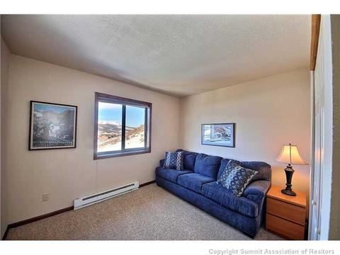 48 Ab Rd, Silverthorne, CO 80498 photo 16
