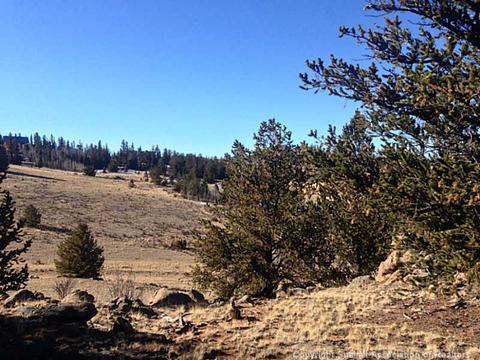 120 Arland Rd, Como, CO 80432 photo 6