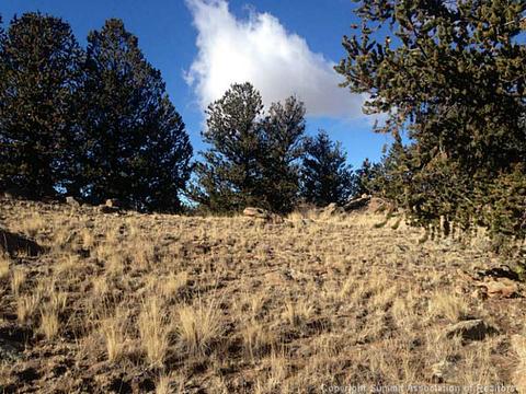 120 Arland Rd, Como, CO 80432 photo 2