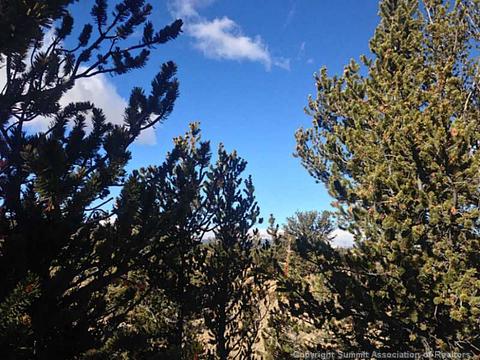 120 Arland Rd, Como, CO 80432 photo 7