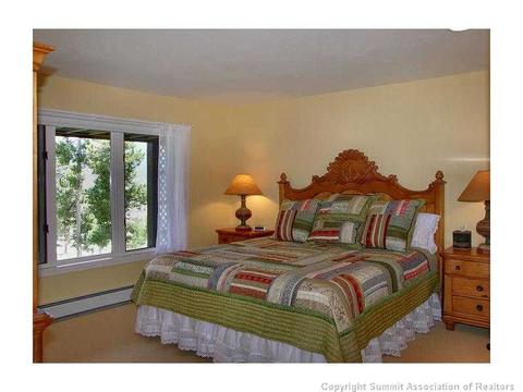 34 Torrey Ln, Dillon, CO 80435 photo 17