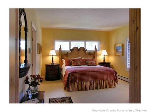 34 Torrey Ln, Dillon, CO 80435 photo 12