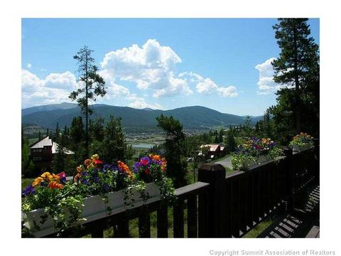 34 Torrey Ln, Dillon, CO 80435 photo 2