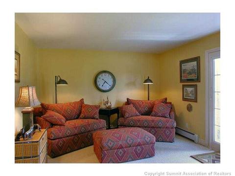 34 Torrey Ln, Dillon, CO 80435 photo 14