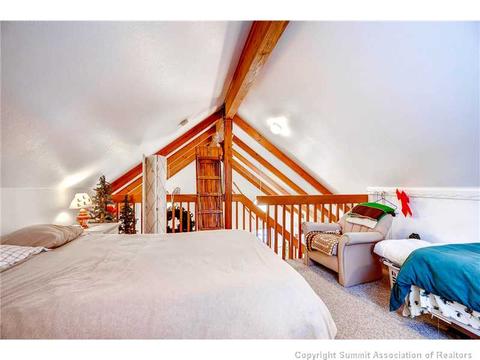 91 Stellar Jay Rd, Frisco, CO 80443 photo 11