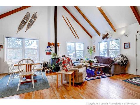 91 Stellar Jay Rd, Frisco, CO 80443 photo 1