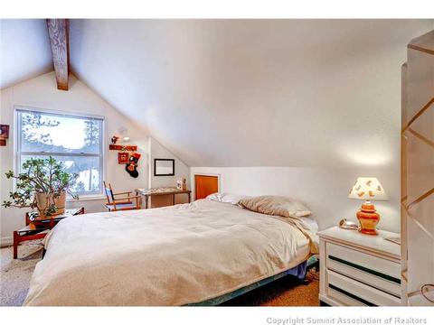 91 Stellar Jay Rd, Frisco, CO 80443 photo 18