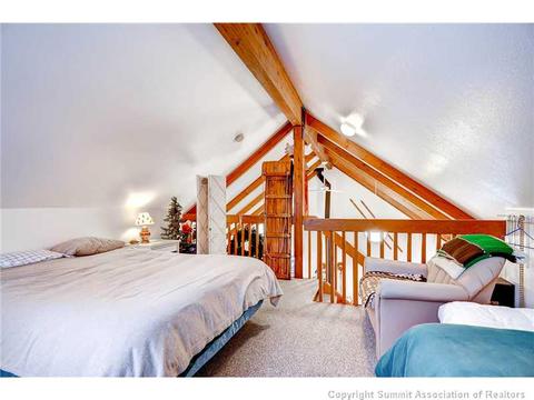 91 Stellar Jay Rd, Frisco, CO 80443 photo 14