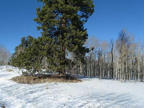 1423 Warrior Cir, Como, CO 80432 photo 1