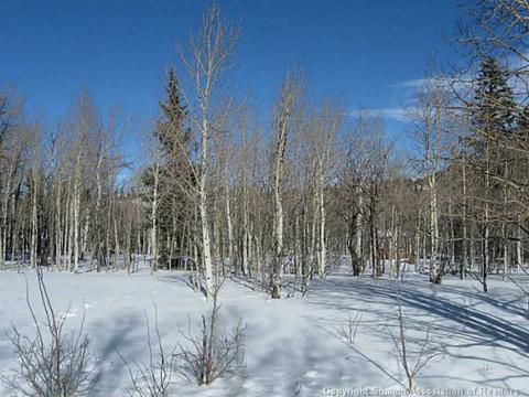 1423 Warrior Cir, Como, CO 80432 photo 2