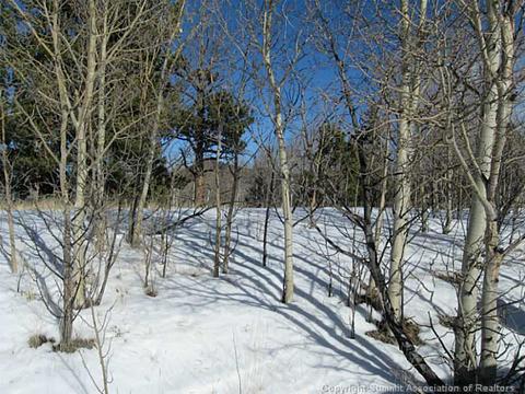 1423 Warrior Cir, Como, CO 80432 photo 6