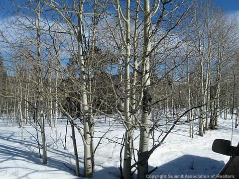 1423 Warrior Cir, Como, CO 80432 photo 3