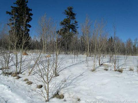 1423 Warrior Cir, Como, CO 80432 photo 7