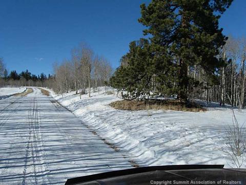 1423 Warrior Cir, Como, CO 80432 photo 4