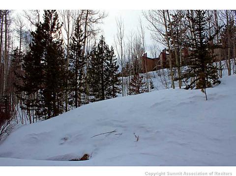 11 Lacy Dr, Silverthorne, CO 80498 photo 25