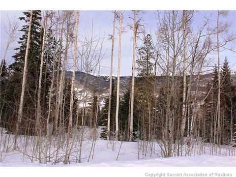 175 Easy Bend Trl, Silverthorne, CO 80498 photo 14