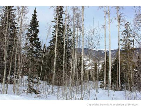 175 Easy Bend Trl, Silverthorne, CO 80498 photo 13