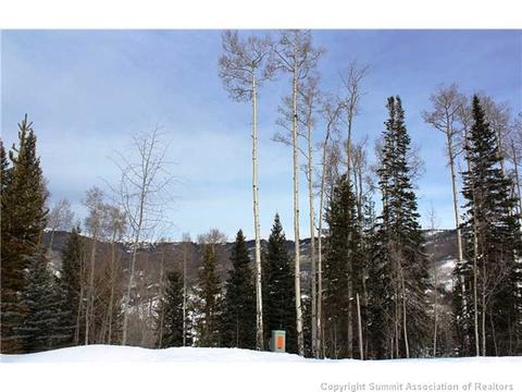 175 Easy Bend Trl, Silverthorne, CO 80498 photo 12