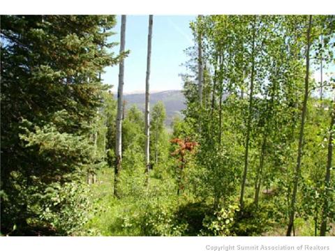 175 Easy Bend Trl, Silverthorne, CO 80498 photo 2