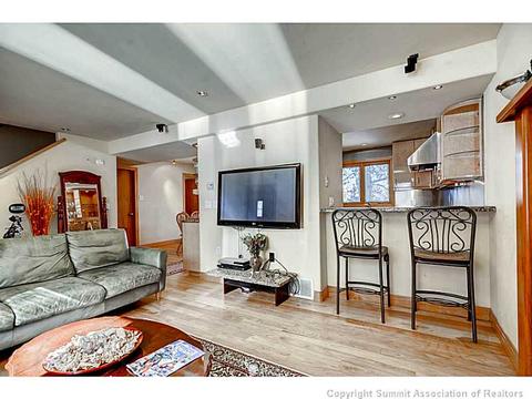 226 Pine Dr, Frisco, CO 80443 photo 5