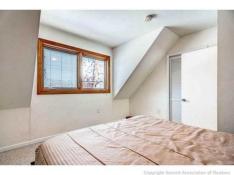 226 Pine Dr, Frisco, CO 80443 photo 18