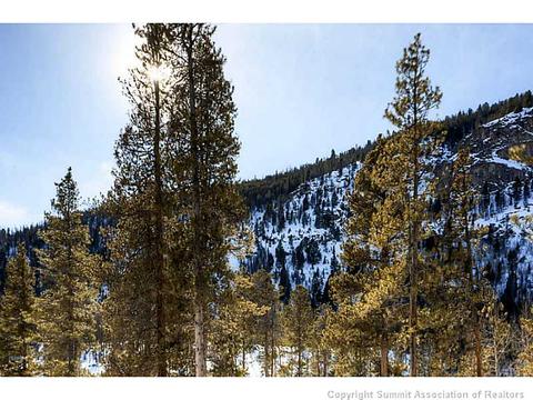 226 Pine Dr, Frisco, CO 80443 photo 24