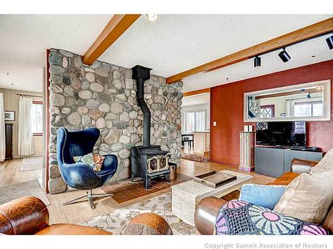 103 Solomons Ln, Silverthorne, CO 80498 photo 3