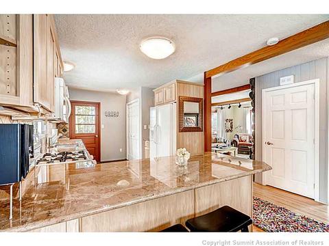103 Solomons Ln, Silverthorne, CO 80498 photo 8