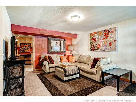 103 Solomons Ln, Silverthorne, CO 80498 photo 20