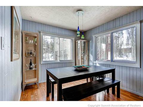 103 Solomons Ln, Silverthorne, CO 80498 photo 4
