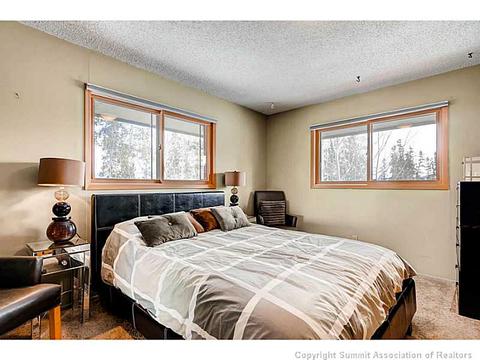 103 Solomons Ln, Silverthorne, CO 80498 photo 16