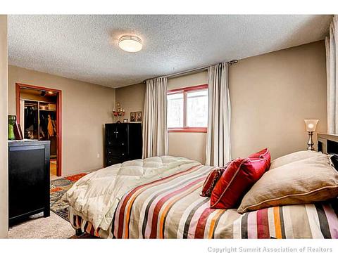 103 Solomons Ln, Silverthorne, CO 80498 photo 13