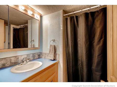 103 Solomons Ln, Silverthorne, CO 80498 photo 19