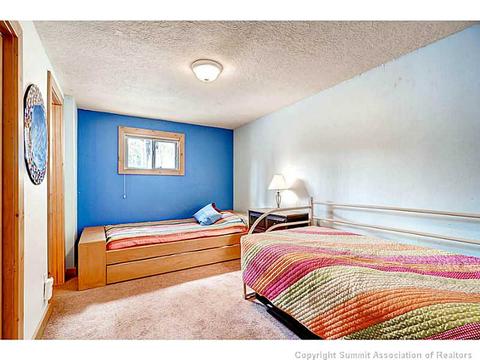 103 Solomons Ln, Silverthorne, CO 80498 photo 18