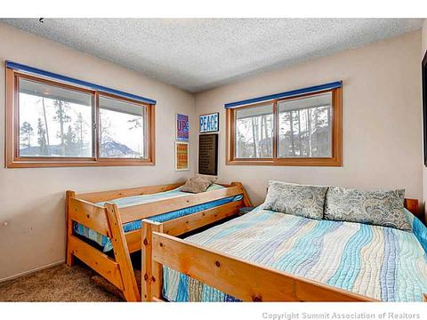 103 Solomons Ln, Silverthorne, CO 80498 photo 15