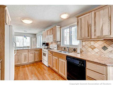 103 Solomons Ln, Silverthorne, CO 80498 photo 5