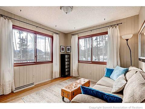 103 Solomons Ln, Silverthorne, CO 80498 photo 10