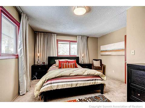 103 Solomons Ln, Silverthorne, CO 80498 photo 12