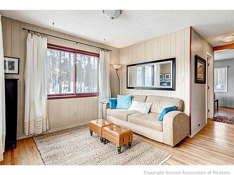 103 Solomons Ln, Silverthorne, CO 80498 photo 9
