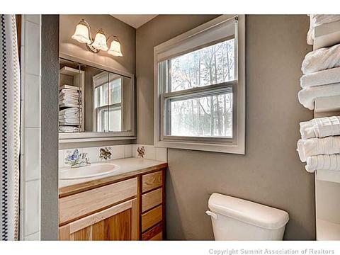 103 Solomons Ln, Silverthorne, CO 80498 photo 11