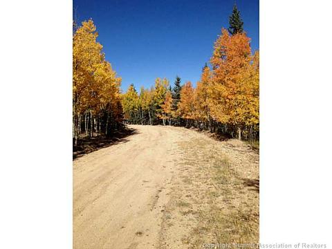 1023 Piaute Way, Como, CO 80432 photo 10