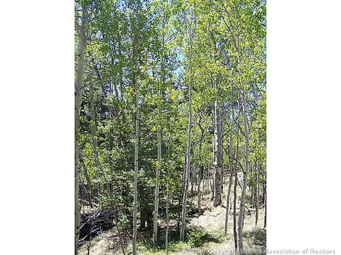 1023 Piaute Way, Como, CO 80432 photo 8
