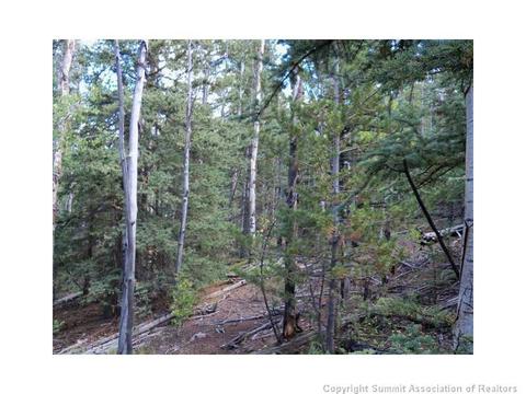 1023 Piaute Way, Como, CO 80432 photo 9