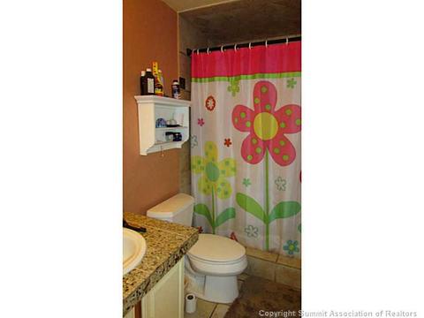 461 Cascade Cir, Silverthorne, CO 80498 photo 17