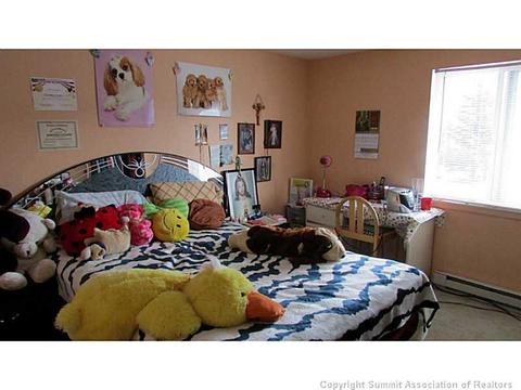 461 Cascade Cir, Silverthorne, CO 80498 photo 16