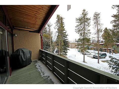 301 La Bonte St #6, Dillon, CO 80435 photo 17