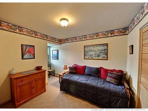 301 La Bonte St #6, Dillon, CO 80435 photo 14